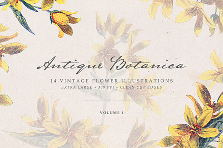 Vintage Flowers Vol.01 - Extra Large