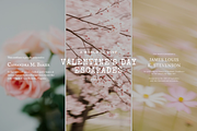 Blurry Nature Backgrounds VOL3, a Background Graphic by digital.incubator.yum (Thumbnail 7 of 11)