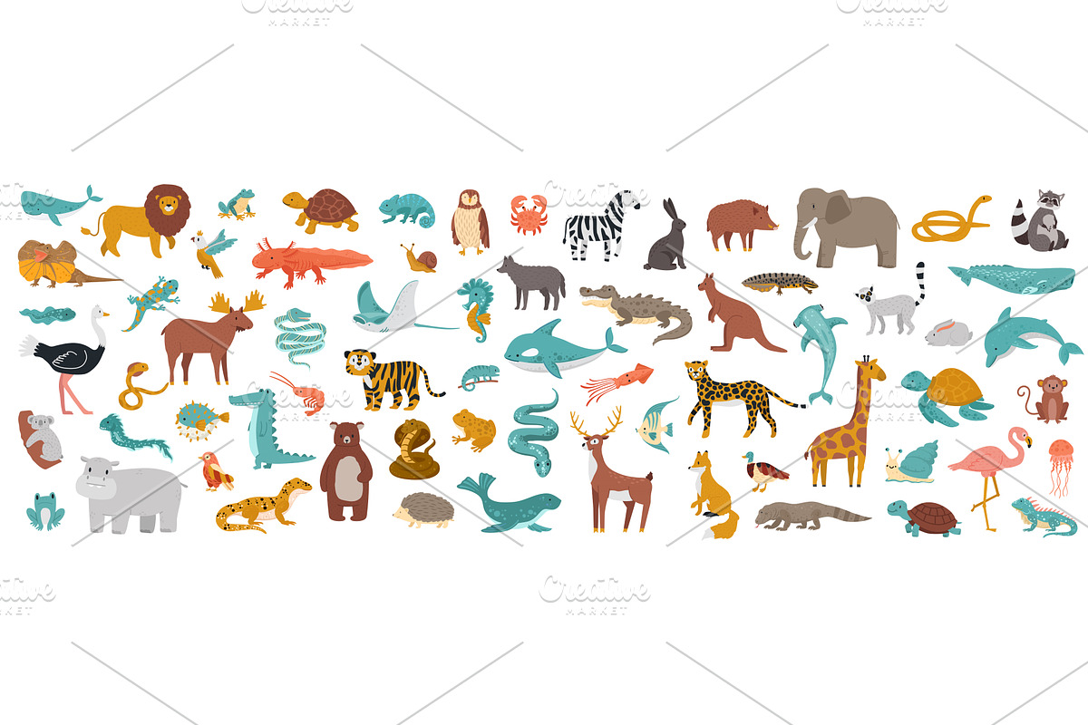 Big set of animals. Domestic and, an Animal Illustration by winwin.art