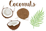 Coconut Design Kit, a Decorative Illustration by Artspace (Thumbnail 2 of 6)