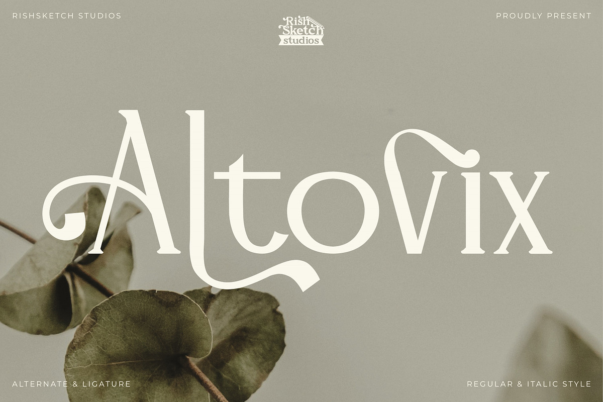 Altovix - Serif Typeface Font, a Serif Font by Rishsketch (Photo 1 of 15)