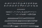 Actively Modern Brush Font, a Script Font by stylishtype.co (Thumbnail 18 of 20)