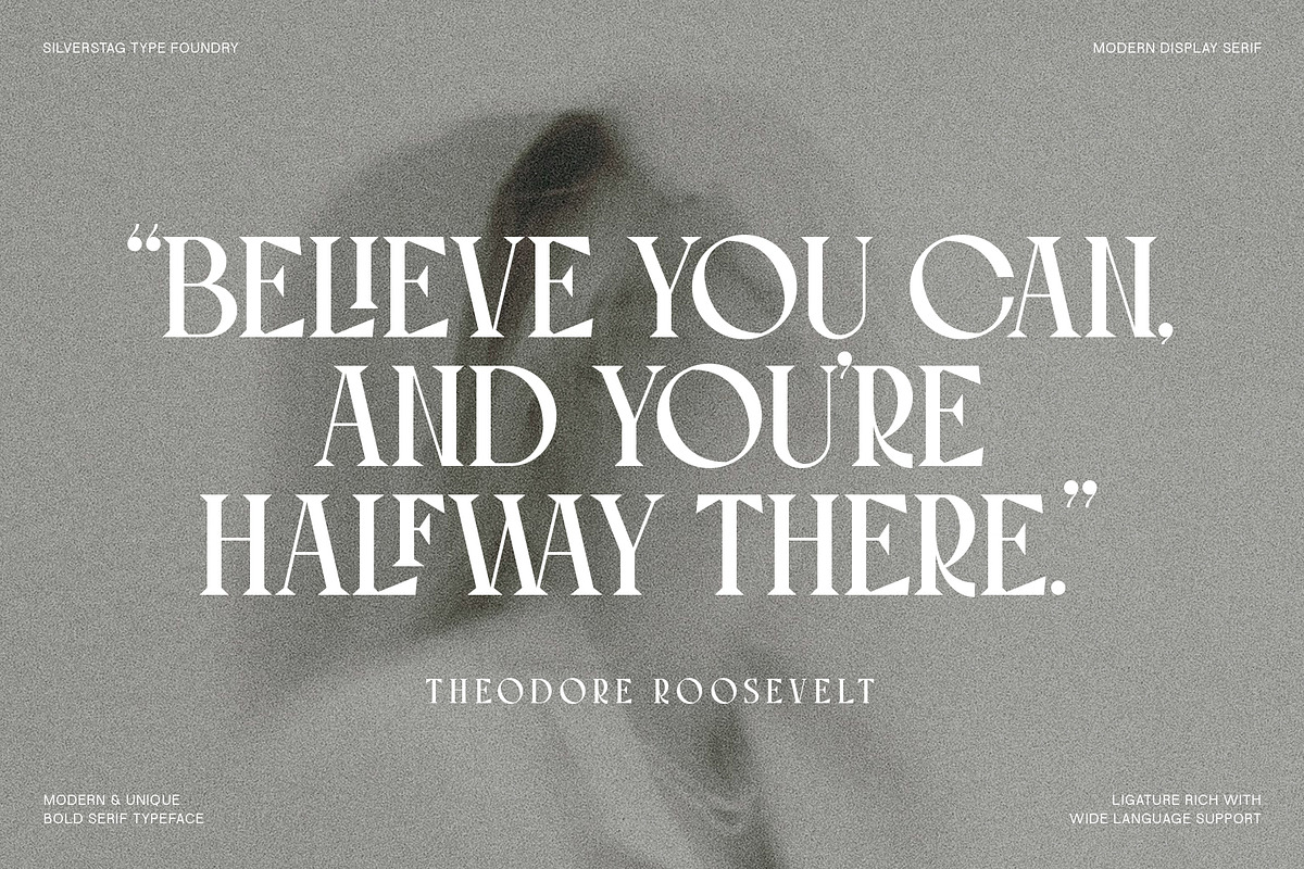 Tangled Rockaway Vintage Serif Font, a Serif Font by SilverStag Type Foundry (Photo 13 of 18)