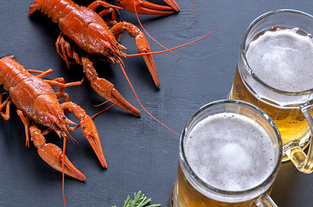Boiled crayfish containing ale, appetizer, and background, a Food & Drink Photo by Alexander Prokopenko