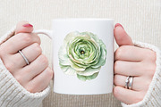 Watercolor Ranunculus Clipart, an Illustration by Sublimation Artist (Thumbnail 5 of 6)