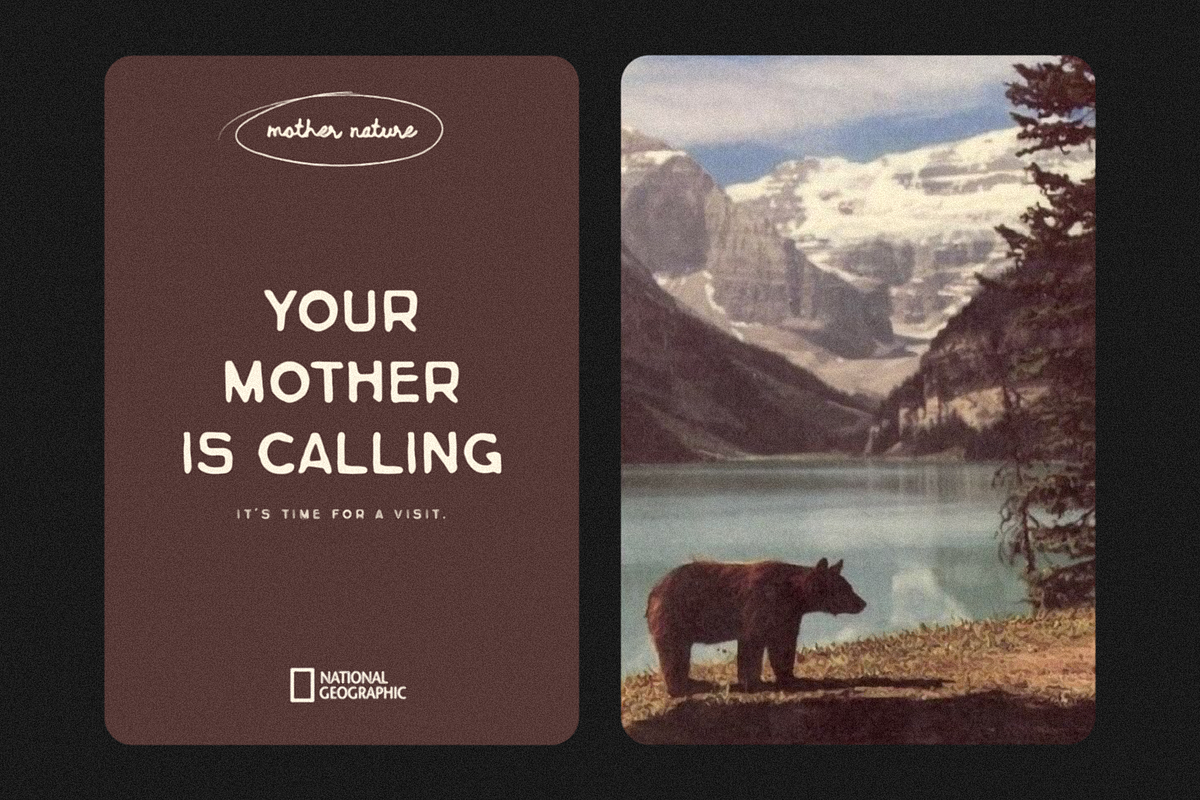 Canyonlands, a Sans Serif Font by Bruised Goods