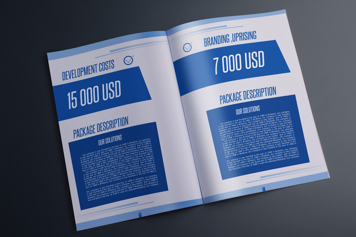 Indesign Investment proposal A4, a Templates & Theme by RudanStudio (Photo 6 of 8)