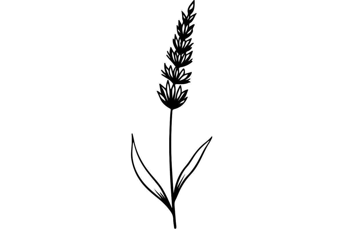 Decorative Tribal Feather Vector, an Object Graphic by Designer_Momina (Photo 11 of 18)