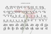 Dobagi – Elegant Modern Serif Font, a Serif Font by roomspace creative lab (Thumbnail 3 of 12)