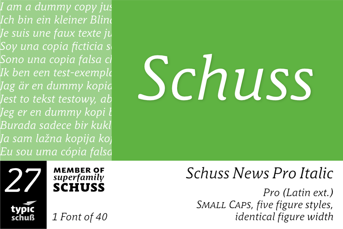 SchussNewsProItalic No.27 (1 Font), a Serif Font by typic schuss (Photo 1 of 7)