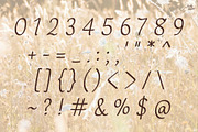 Golden Breeze | Handwriting font, a Handwritten Font by LivelyAutumn11.11 (Thumbnail 3 of 5)
