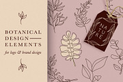 Botanical Elements for Logo Design, a Texture Illustration by amber&ink (Thumbnail 1 of 10)