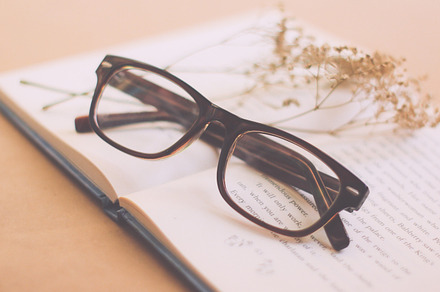 Blank Notebook And Dried Flower preview 6