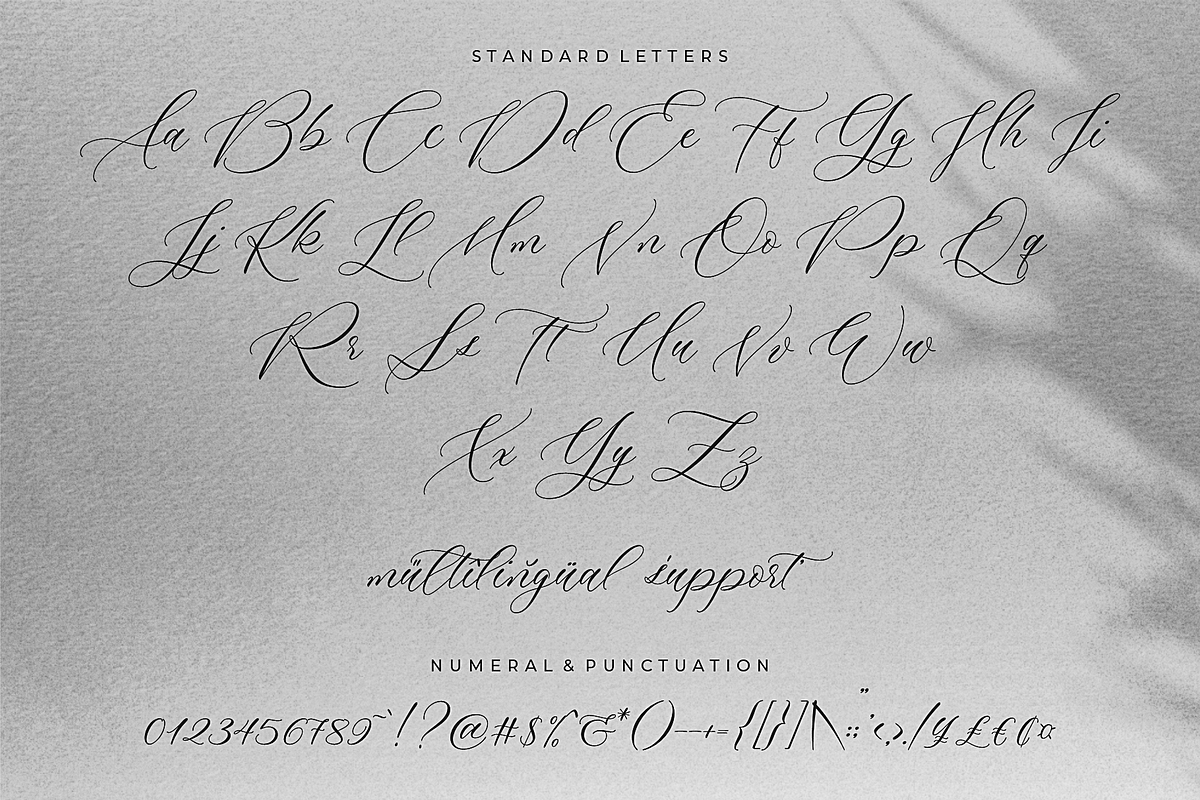 Multiverse – Luxurious Script Font, a Script Font by RedyStudio (Photo 12 of 15)