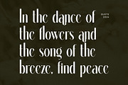 Dalkine Modern Serif Font, a Serif Font by Perfectype (Thumbnail 2 of 6)