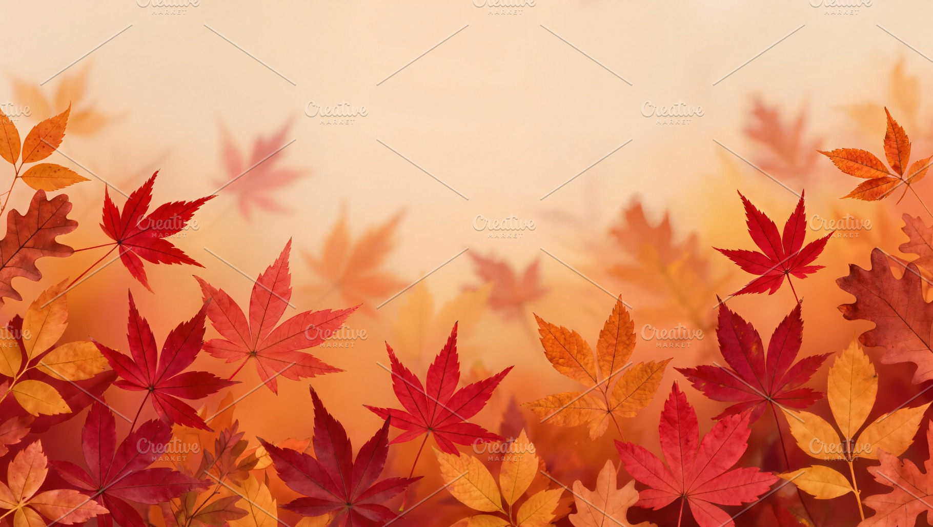 Autumn Leaves and Orange Background, a Nature Photo by Rafoz