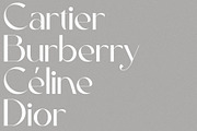 Sienne - Elegant Display Sans Serif, a Sans Serif Font by spectertype (Thumbnail 2 of 8)