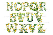 Daisies Alphabet Clipart, a Seasonal Illustration by GlamArtZhanna (Thumbnail 3 of 5)