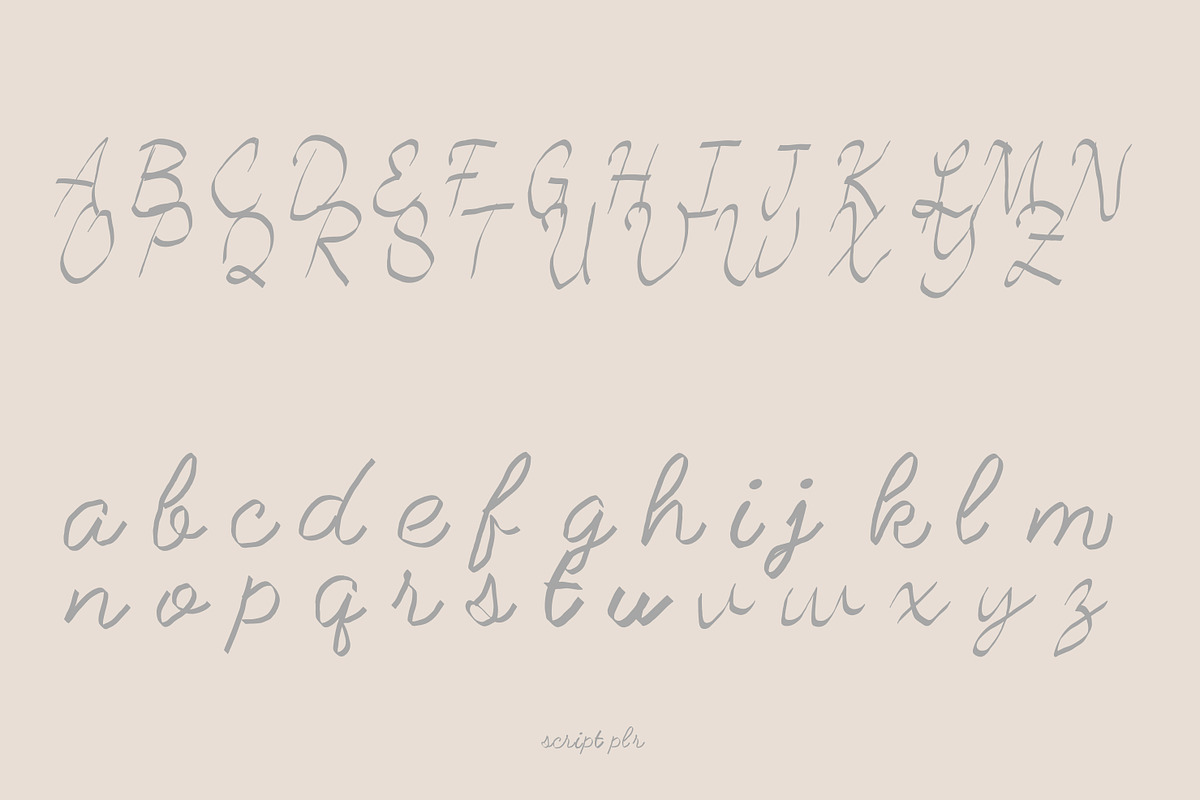 Script plr – Elegant Handcrafted, a Handwritten Font by adenpinkstore (Photo 2 of 4)