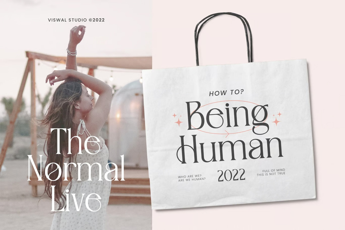 Aligers - Modern Font, a Serif Font by Viswal Studio (Photo 5 of 5)
