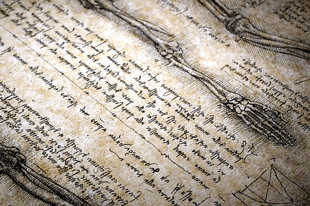 Old anatomy containing biology, anatomy, and drawing