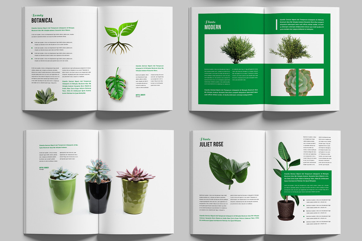 Botanical Brochure Template