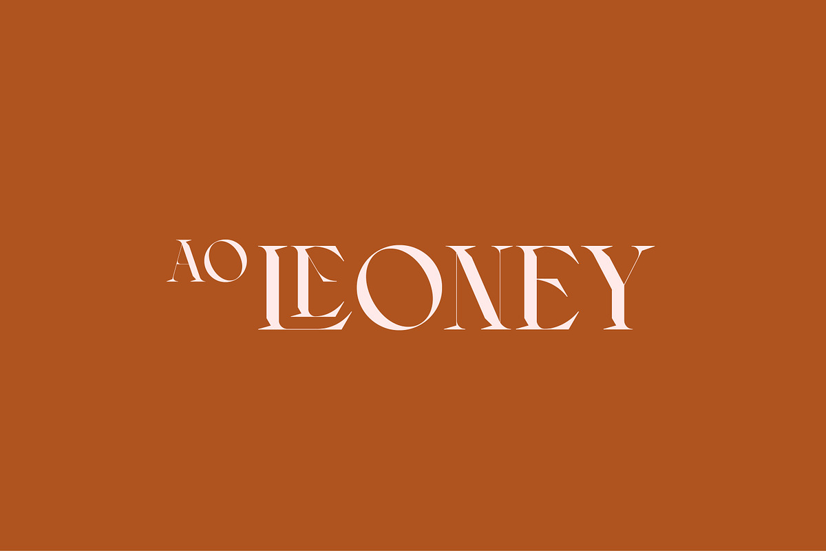 AO Leoney - Display Font Family, a Serif Font by OwunStudio (Photo 1 of 22)