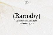 Barnaby | A Minimalist Text Serif, a Serif Font by Jen Wagner Co (Thumbnail 9 of 10)
