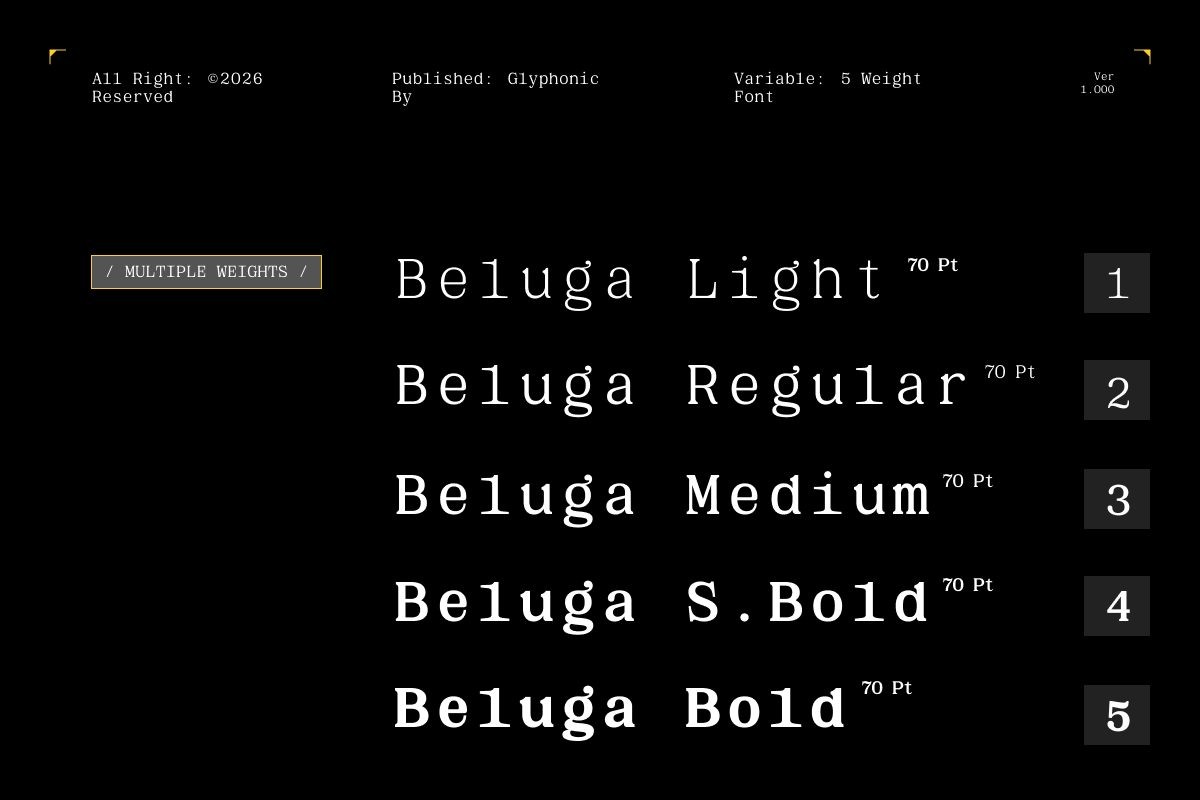 GC Beluga Mono - Elegant Modern Mono, a Serif Font by Glyphonic (Photo 3 of 15)