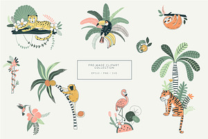 Rainforest Jungle Animals Collection