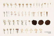 231 Vintage Dried Flowers, an Object Graphic by Ksuview (Thumbnail 4 of 8)