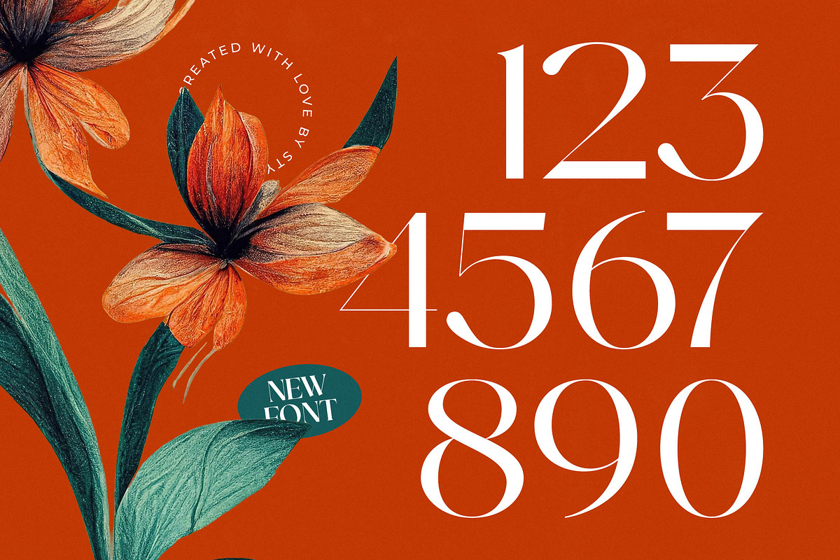 Strikes Against Modern Serif Font, a Serif Font by timelesstype.co (Photo 16 of 20)