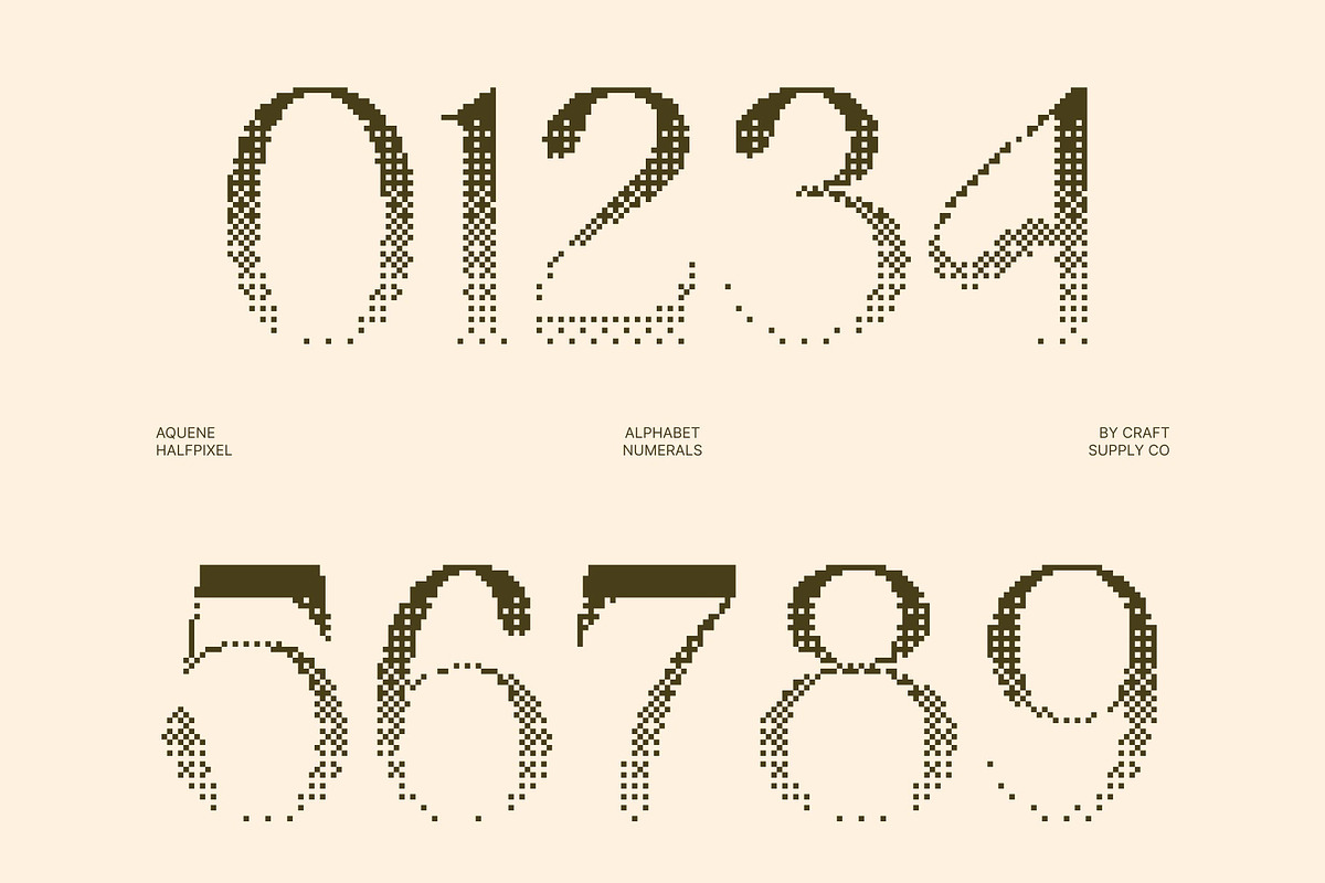Aquene Halfpixel, a Serif Font by Craft Supply Co. (Photo 5 of 8)