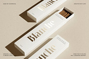 LaRuja - Modern Serif Typeface, a Serif Font by SilverStag Type Foundry (Thumbnail 20 of 20)