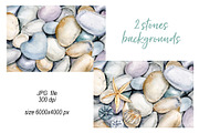 Shells, beach watercolor set., an Illustration by Larisa Maslova (Thumbnail 3 of 13)