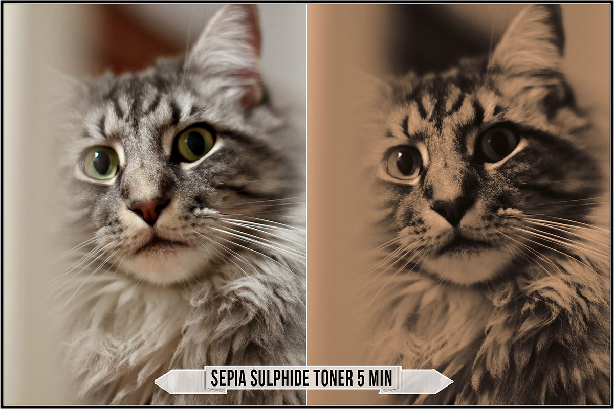Darkroom Toners - Sepia Profiles, a Plug-in Add-On by Raztrend (Photo 18 of 30)