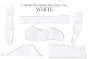 High Resolution Paper Tear Textures, a Texture Graphic by Touch and Form (Thumbnail 6 of 7)