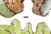 Acorns & Leaves Watercolor Patterns, a Pattern Graphic by Mazheika Store (Thumbnail 6 of 9)