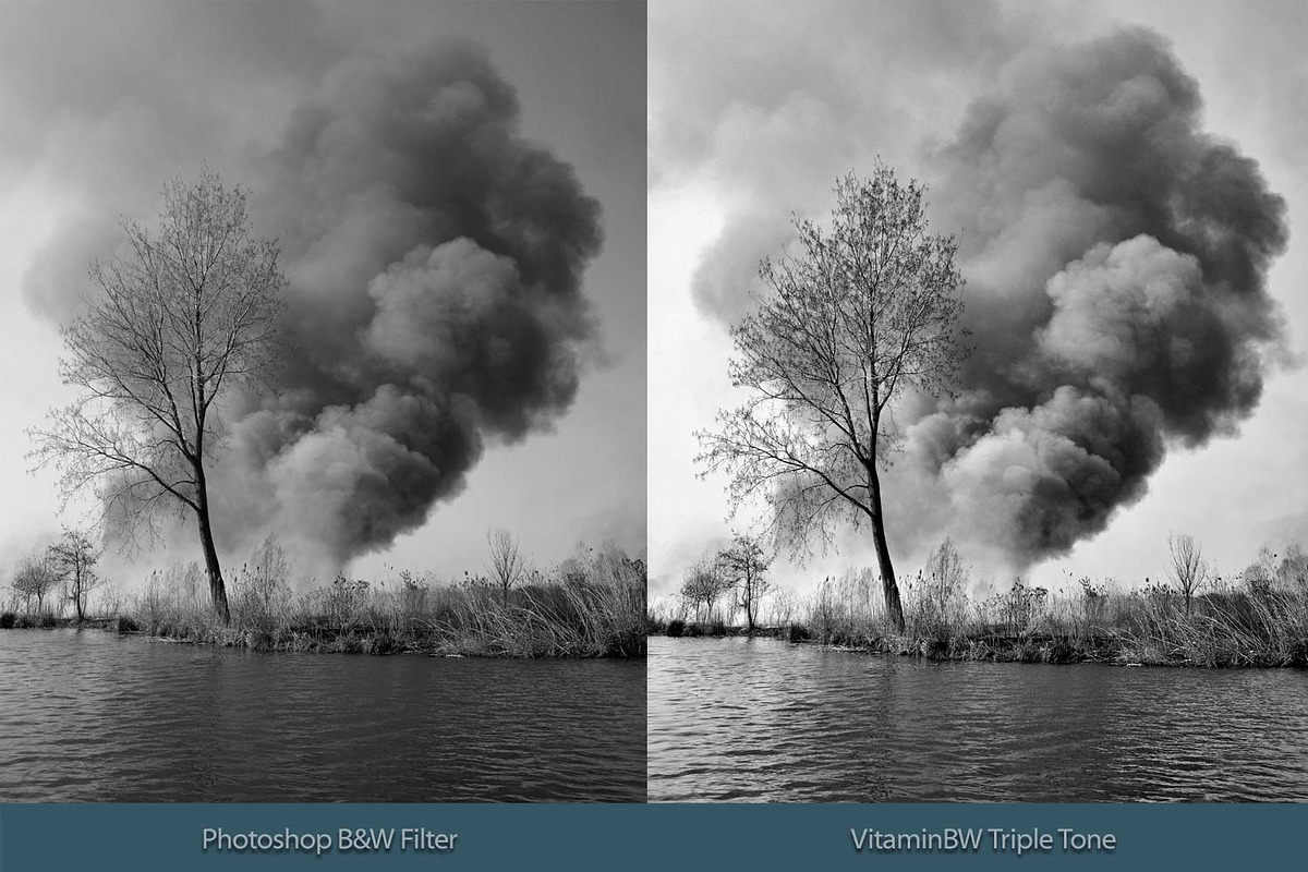 VitaminBW Triple Tone B&W Converter preview 3