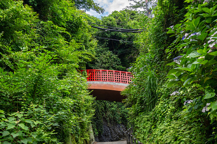 Miyuki Bridge above forest path on Enoshima Island, Japan