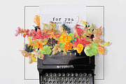 0405 Indian Summer, a Work Illustration by watercolorwild.graphics (Thumbnail 9 of 9)