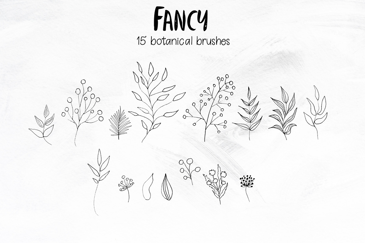 Fancy brushes for PS, a Brush Add-On by Leo Studio Design Lab (Photo 8 of 8)