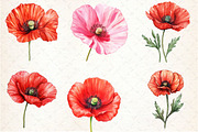 Corn Poppy Flower Bloom Clipart, an Illustration by Rose Art (Thumbnail 3 of 6)