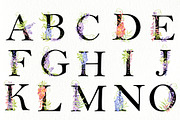 Wisteria lane, a Decorative Illustration by ViсkyArtDesign (Thumbnail 4 of 9)