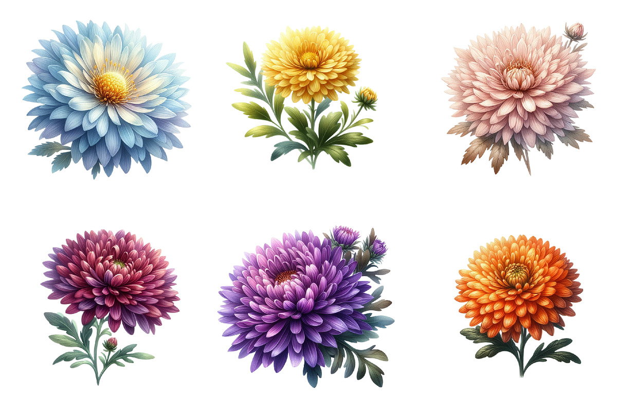 Aster Flower Watercolor Clipart, an Illustration by SinaCreation (Photo 4 of 5)