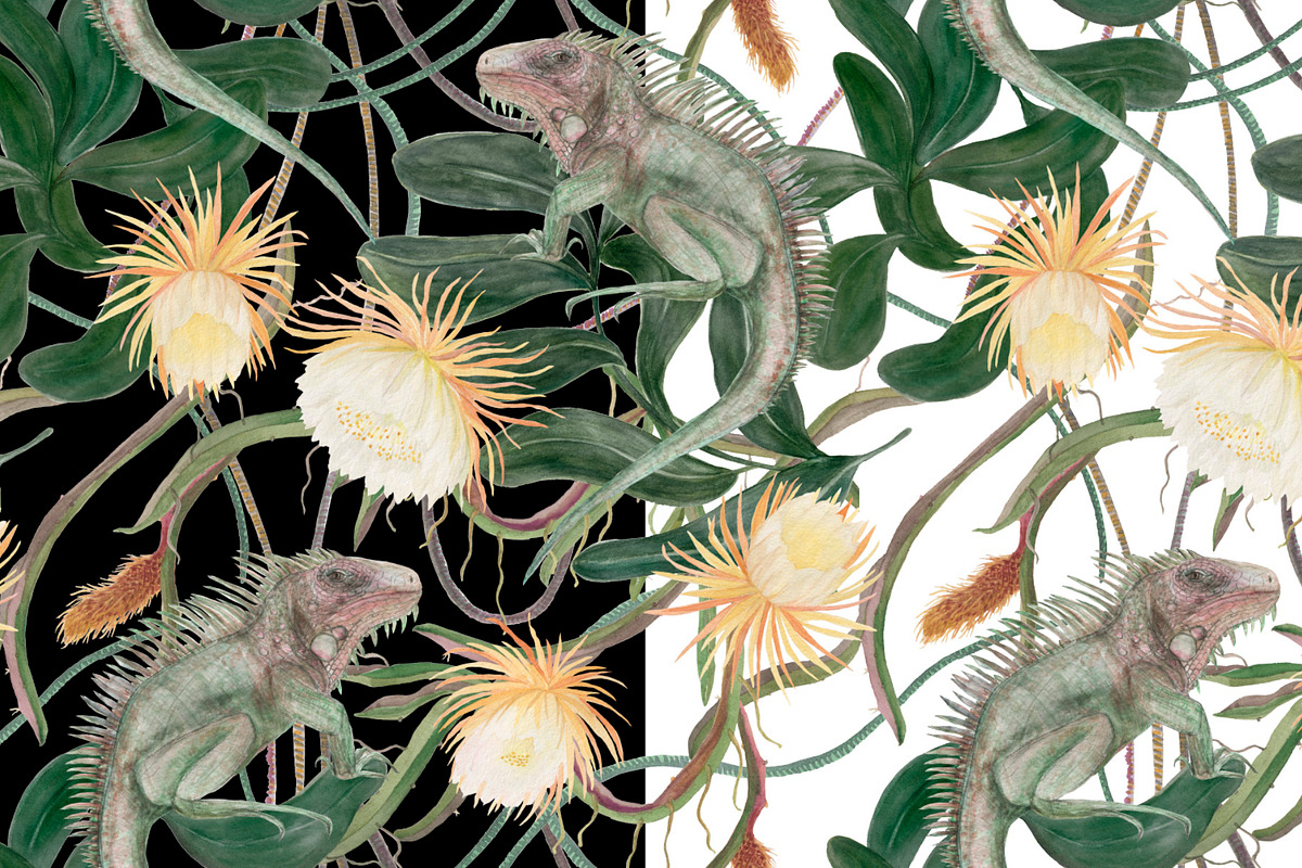 Watercolor Queen of the night flower, a Pattern Graphic by ramika (Photo 3 of 4)
