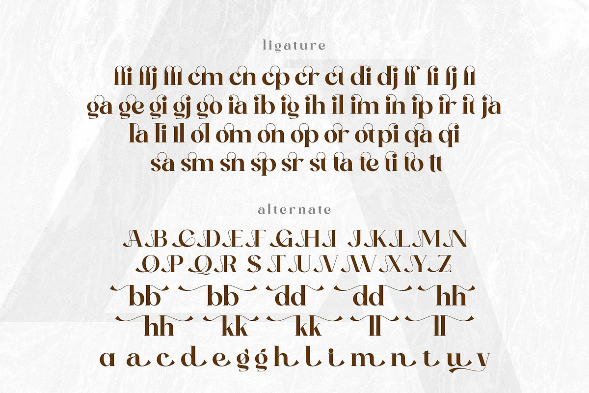 Ozilic, a Serif Font by Ardyanatypes (Photo 10 of 12)