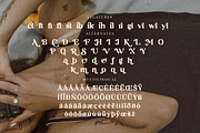 Richard Samuels Modern Serif Font, a Serif Font by Storytype Studio (Thumbnail 14 of 15)
