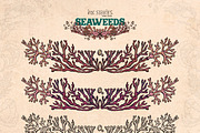 Seaweeds, an Object Illustration by Ink Stories (Thumbnail 15 of 24)