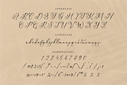 Mattrile Vintales Beauty Calligraphy, a Script Font by Storytype Studio (Thumbnail 13 of 15)